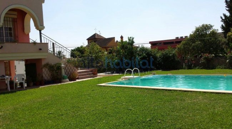 Sevilla - Alcalá de Guadaíra - 1700m2