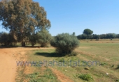 Parcel·la urbanitzable en venda a Dos Hermanas ref.: TR39708 foto