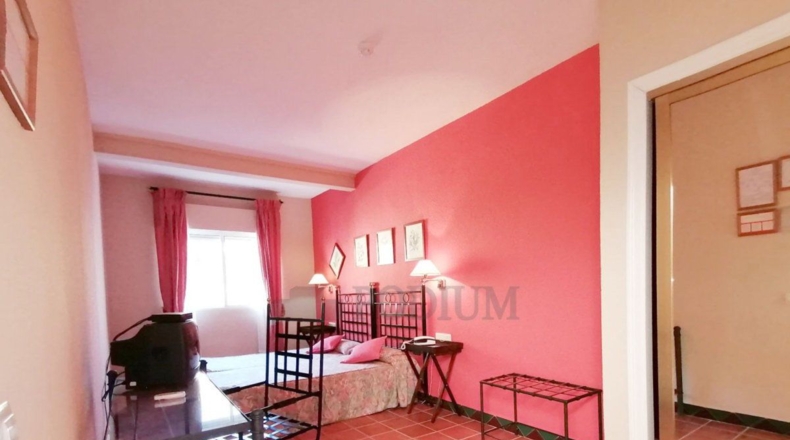 Sevilla - Constantina - 552m2