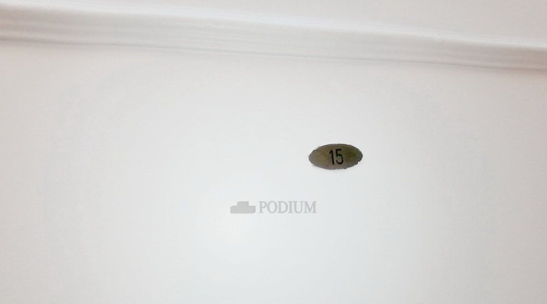 Sevilla - Constantina - 552m2