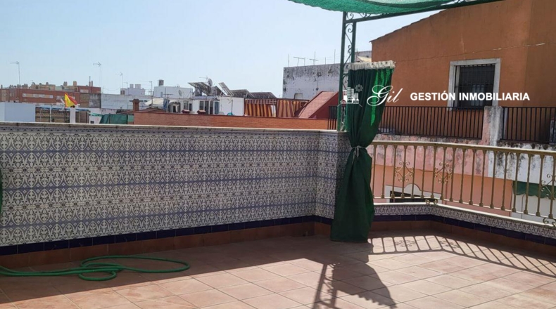 Sevilla - Mairena del Aljarafe - 233m2