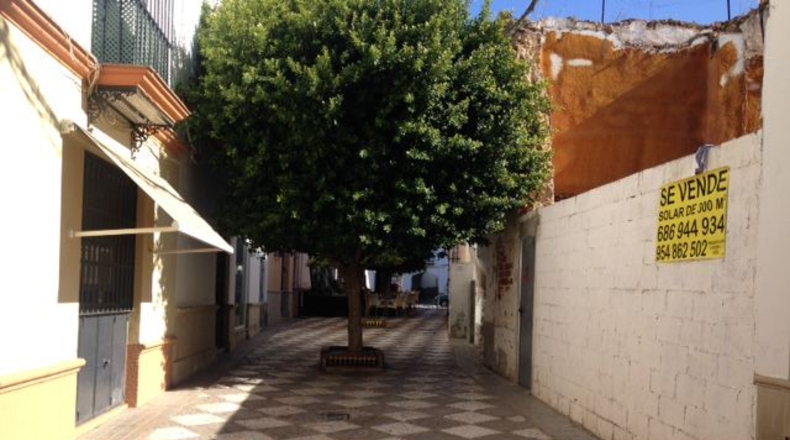 Sevilla - Utrera - 300m2