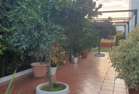 Utrera 700&nbsp;м²