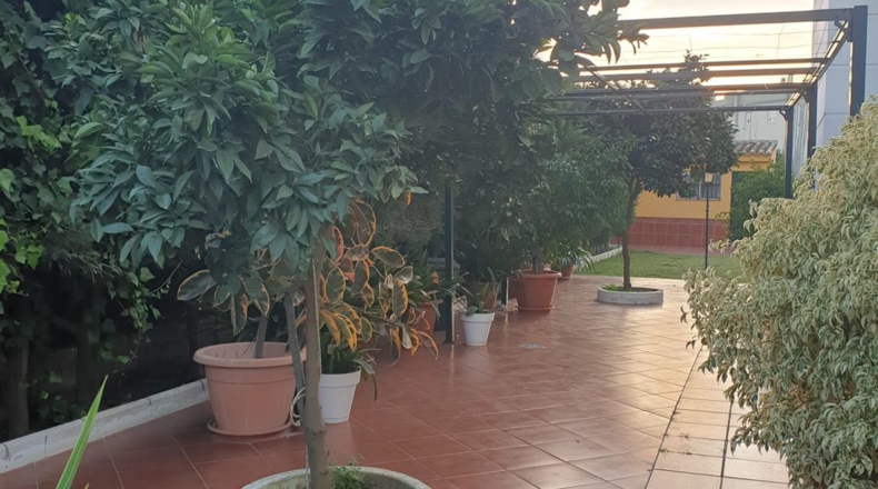 Sevilla - Utrera - 700m2