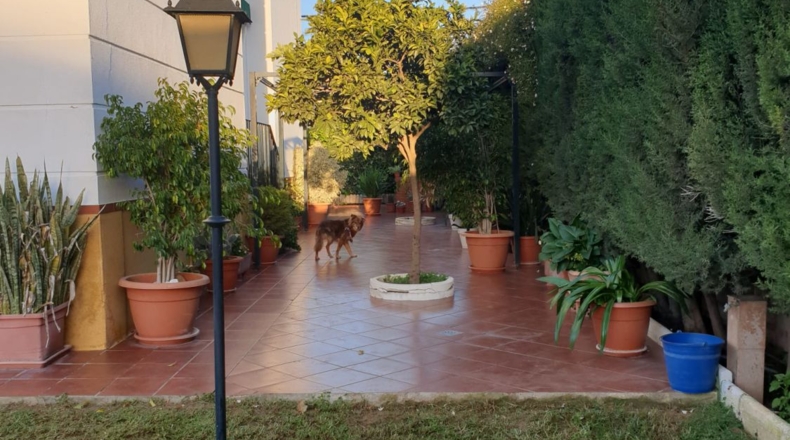 Sevilla - Utrera - 700m2