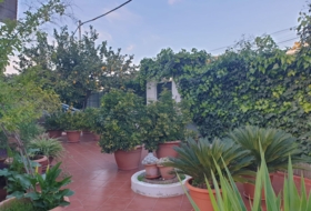 Utrera 700&nbsp;м²