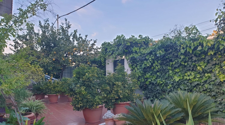 Sevilla - Utrera - 700m2