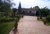 Отдельно стоящий дом с участком на продажу в городе Carmona. Фото