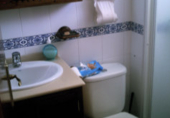 Xalet adossat amb terreny en venda a Utrera ref.: TR202252 foto