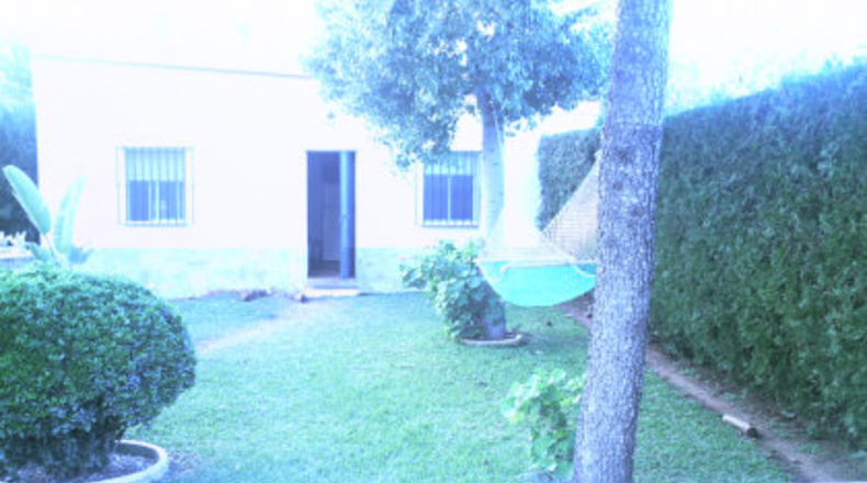 Sevilla - Mairena del Alcor - 850m2
