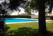 Xalet independent amb terreny en venda a Mairena del Alcor ref.: TR209894 foto