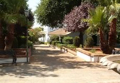 Xalet independent amb terreny en venda a Mairena del Alcor ref.: TR209894 foto