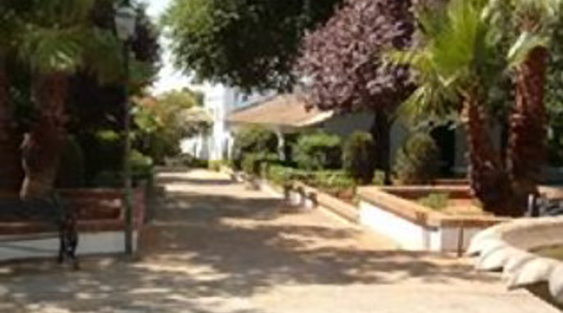 Sevilla - Mairena del Alcor - 750m2