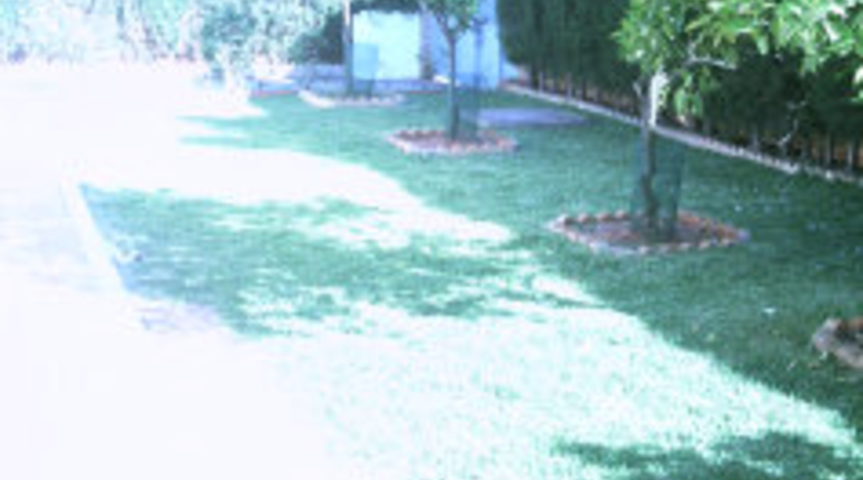 Sevilla - Mairena del Alcor - 800m2