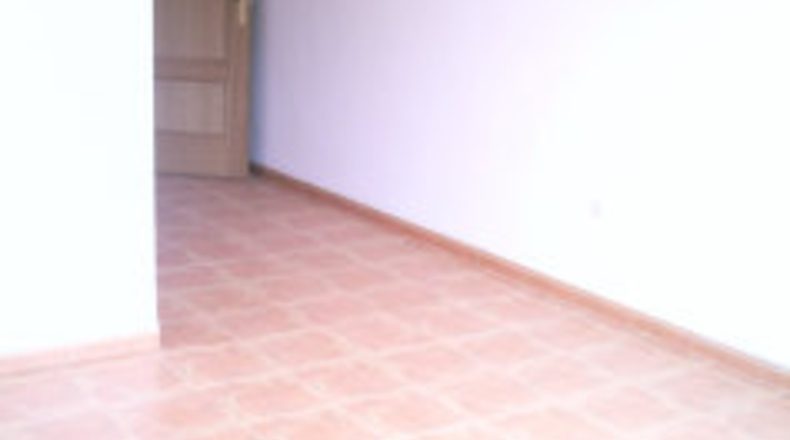 Sevilla - Mairena del Alcor - 400m2