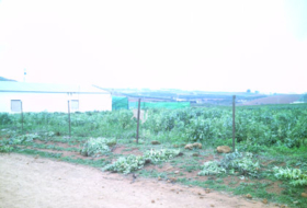 Constantina 284600&nbsp;m² 