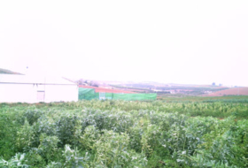 Constantina 284600&nbsp;m² 