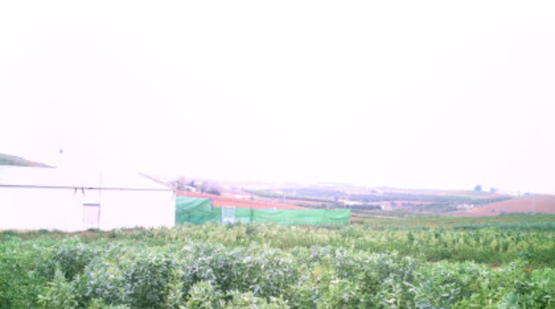 Sevilla - Carmona - 284600m2