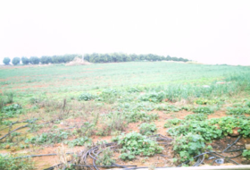 Constantina 284600&nbsp;m² 