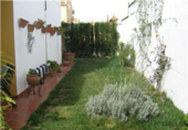 Xalet adossat amb terreny en venda a Mairena del Alcor ref.: TR209883 foto