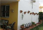 Xalet adossat amb terreny en venda a Mairena del Alcor ref.: TR209883 foto