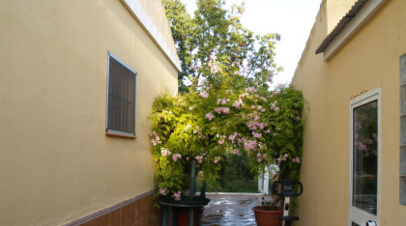 Sevilla - Mairena del Alcor - 1000m2