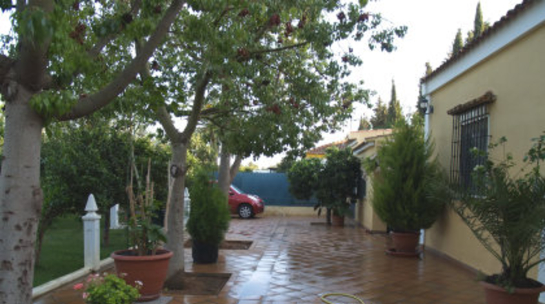 Sevilla - Mairena del Alcor - 1000m2