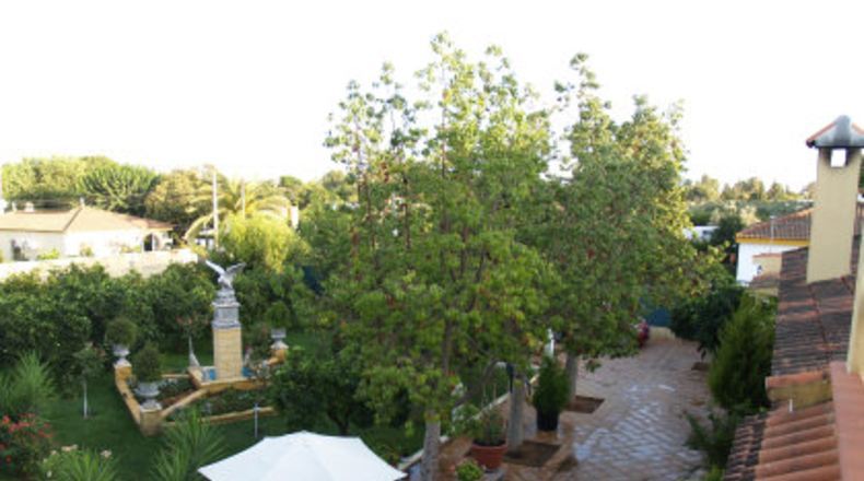 Sevilla - Mairena del Alcor - 1000m2