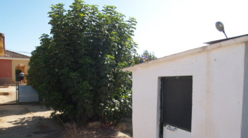 Sevilla - Carmona - 2650m2