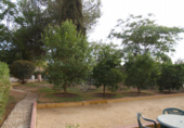 Xalet independent amb terreny en venda a Carmona ref.: TR29042 foto