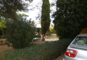Xalet independent amb terreny en venda a Carmona ref.: TR29042 foto