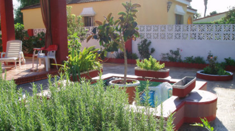 Sevilla - Mairena del Alcor - 1000m2