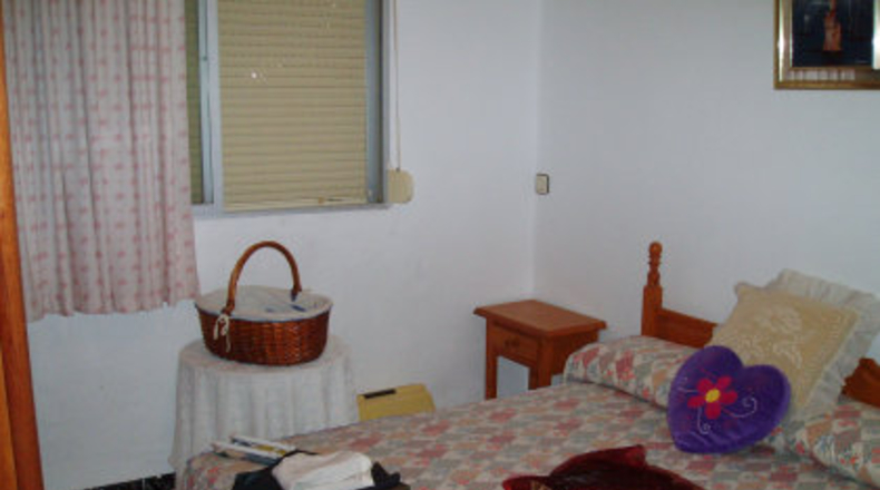 Sevilla - Mairena del Alcor - 1000m2