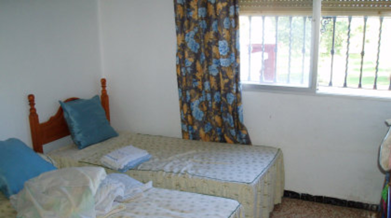 Sevilla - Mairena del Alcor - 1000m2