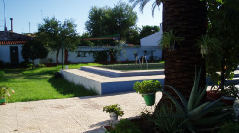 Sevilla - Mairena del Alcor - 1000m2