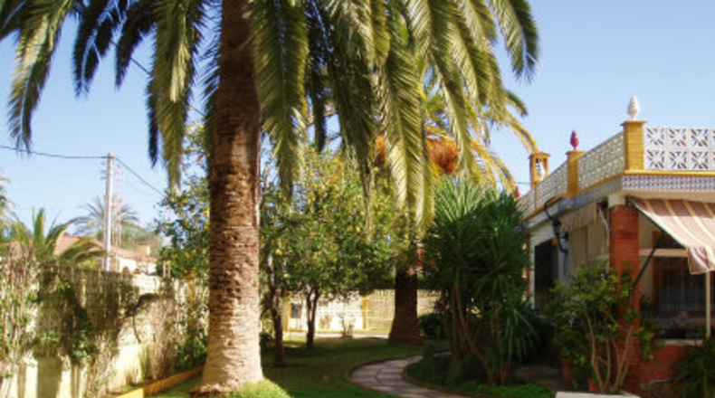 Sevilla - Mairena del Alcor - 1000m2