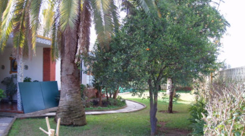 Sevilla - Mairena del Alcor - 1000m2