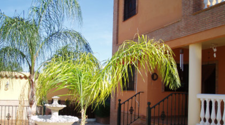 Sevilla - Mairena del Alcor - 450m2