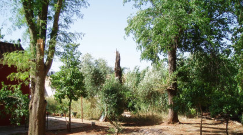 Sevilla - Mairena del Alcor - 2700m2
