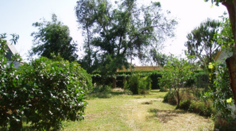 Sevilla - Mairena del Alcor - 2700m2