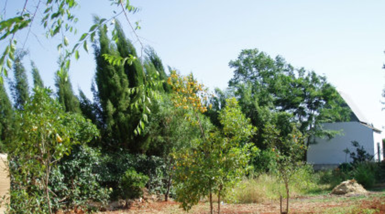 Sevilla - Mairena del Alcor - 2700m2
