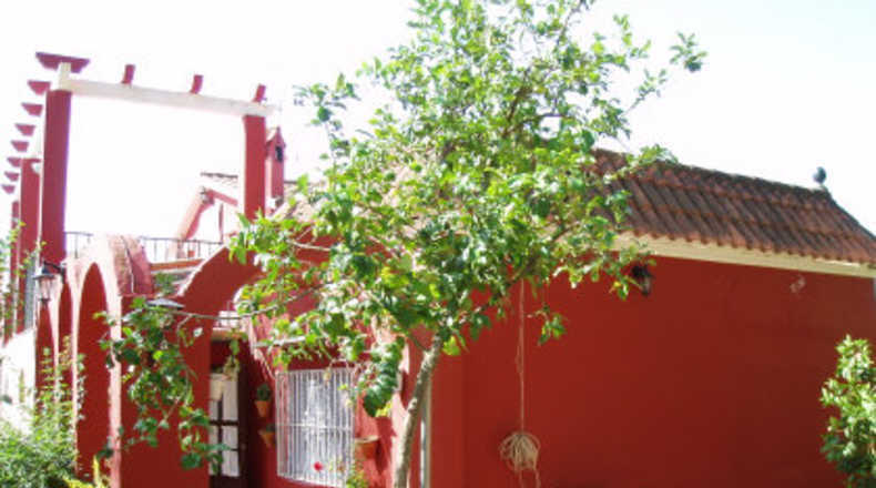 Sevilla - Mairena del Alcor - 2700m2