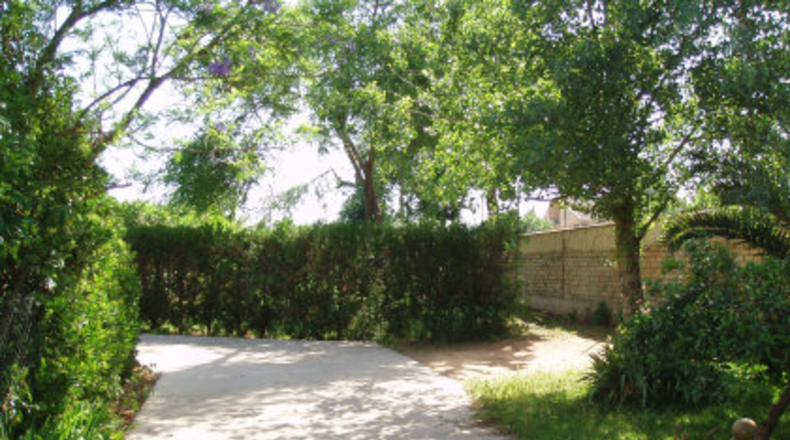 Sevilla - Mairena del Alcor - 2700m2
