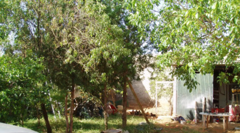 Sevilla - Mairena del Alcor - 2700m2