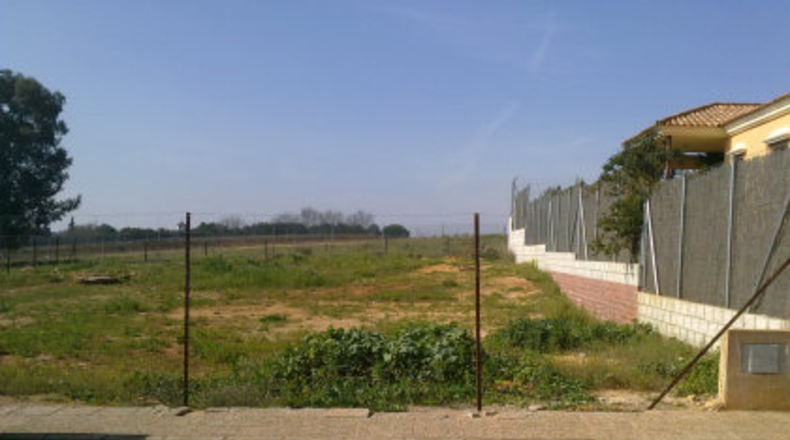 Sevilla - Mairena del Alcor - 1000m2