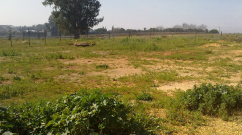 Sevilla - Mairena del Alcor - 1000m2