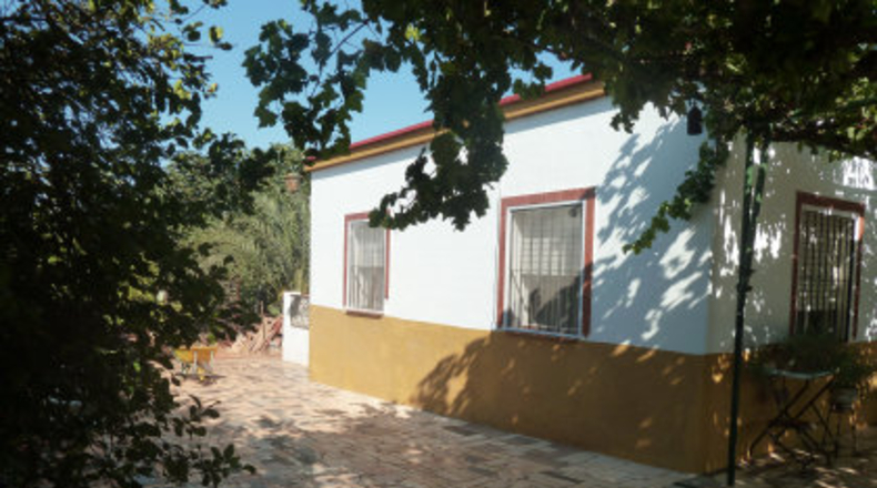 Sevilla - Mairena del Alcor - 2700m2