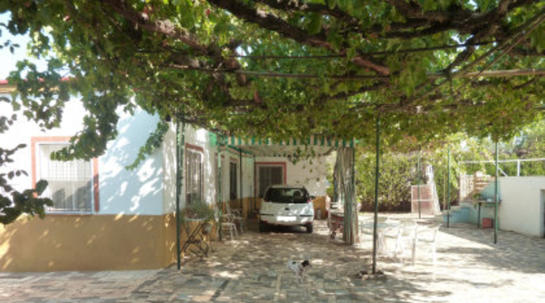 Sevilla - Mairena del Alcor - 2700m2