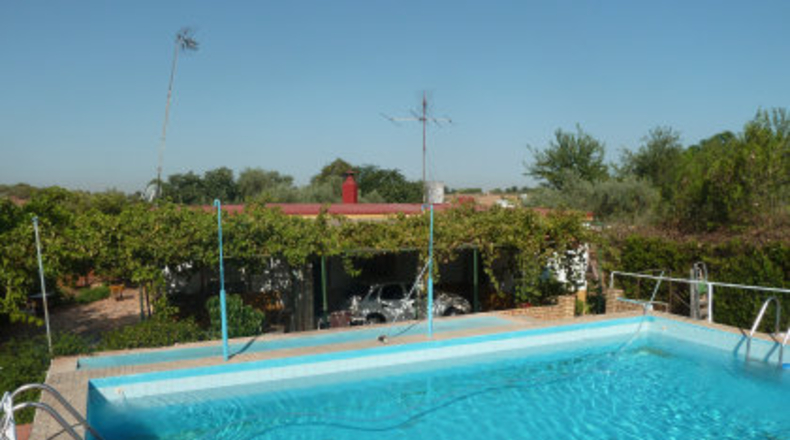 Sevilla - Mairena del Alcor - 2700m2