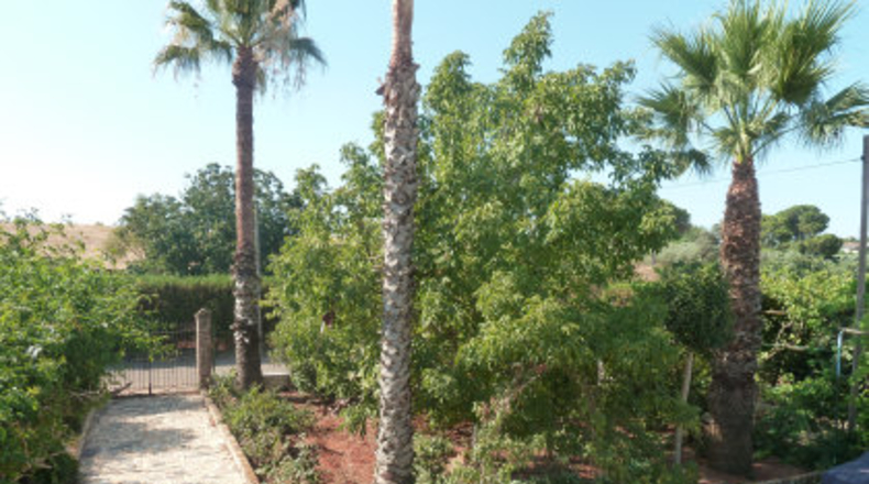 Sevilla - Mairena del Alcor - 2700m2